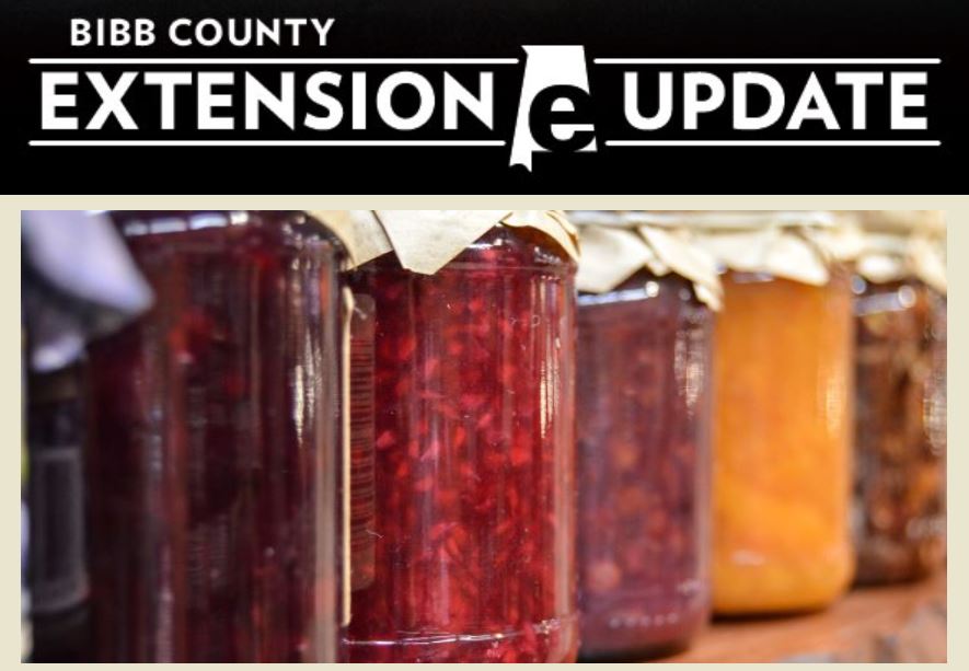 05 29 19 bibb extension